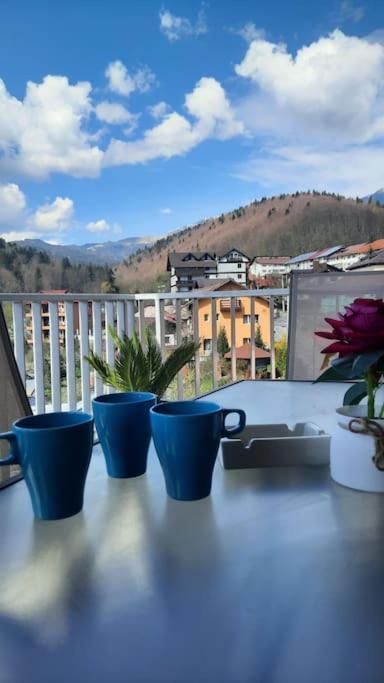 Apartament Erika Premium Sinaia Zewnętrze zdjęcie