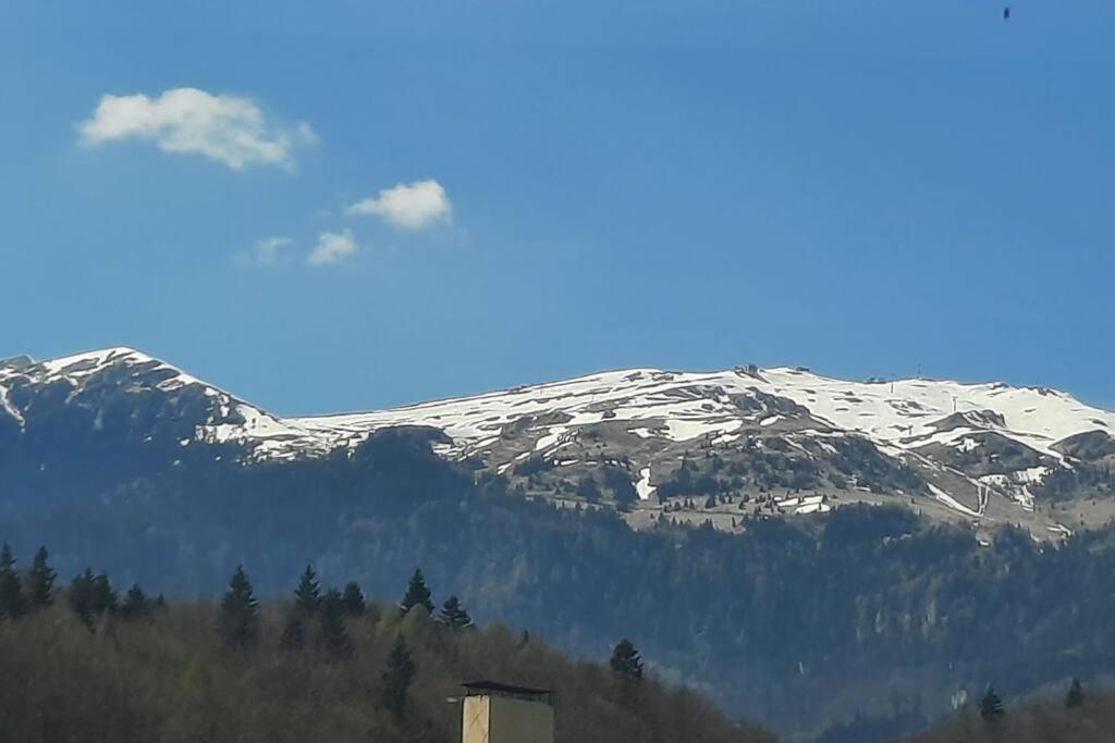 Apartament Erika Premium Sinaia Zewnętrze zdjęcie