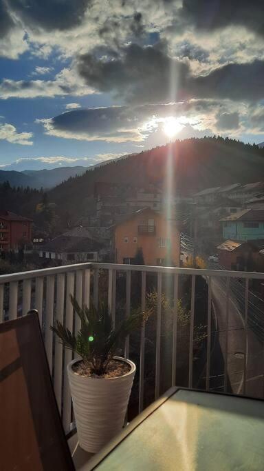 Apartament Erika Premium Sinaia Zewnętrze zdjęcie