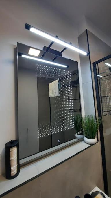 Apartament Erika Premium Sinaia Zewnętrze zdjęcie