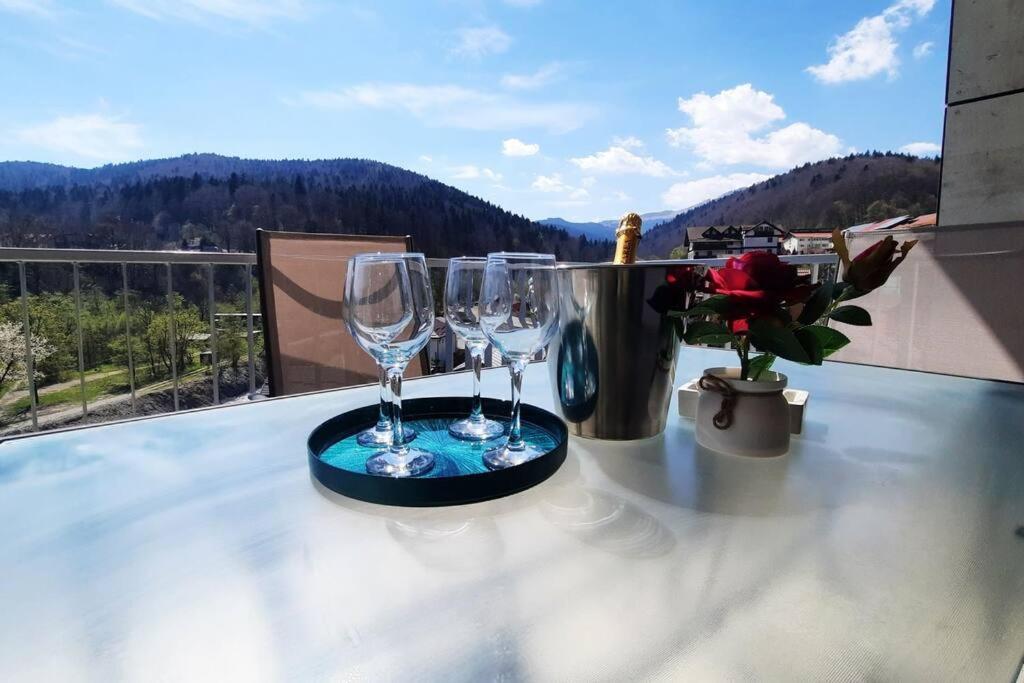 Apartament Erika Premium Sinaia Zewnętrze zdjęcie